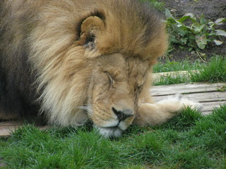 OLYMPUS DIGITAL CAMERA © bnorbert3