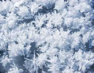 Hoarfrost