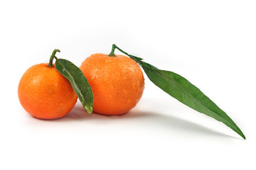Fresh oranges with green leaves isolated