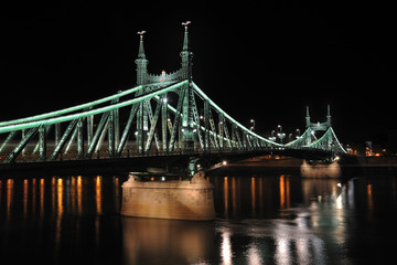 Fototapeta na wymiar The Liberty Bridge in Budapest