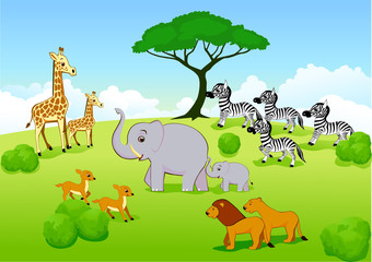 Animal safari