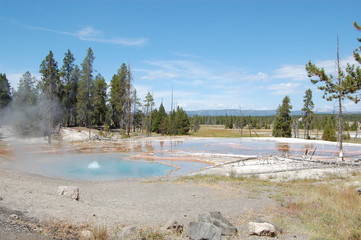 Yellowstone - Firehole Spring