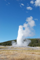 Old Faithful with fields and forest, clouds on right