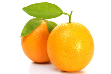 Fresh oranges on white
