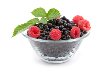 Berries: raspberries and bilberries
