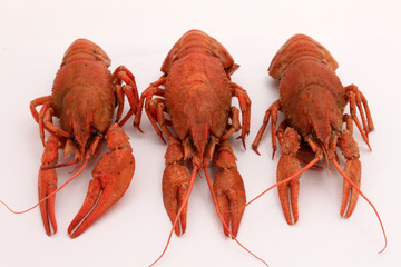 Three red cooked crayfishes