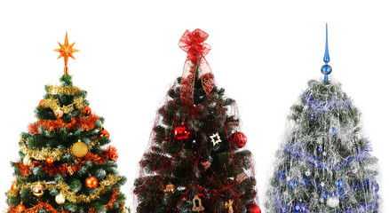 Three beautiful christmas trees differently decorated