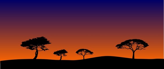 Savanna's landscape in evening
