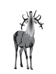 grayscale illustration of buck deer grunting