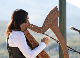 Harp being played by a Young Lady