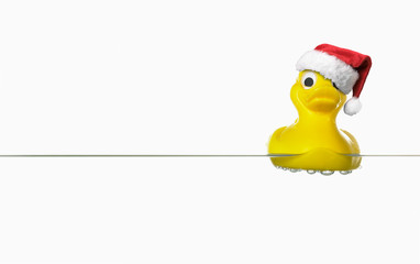 Weihnachtsente schr&auml;ge M&uuml;tze