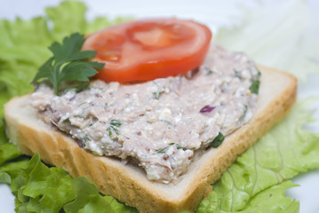 Tuna salad sandwich full frame
