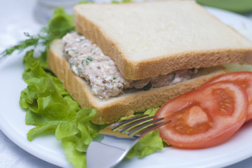 Fototapeta na wymiar Tuna salad sandwich