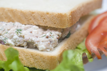 Tuna salad sandwich macro