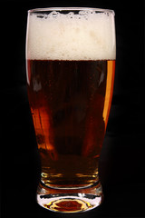 Dark Beer