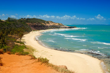 Beautiful beach with palm trees at Praia do Amor Brazil
