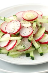 salat mit radieschen, gurken und frühlingszwiebeln