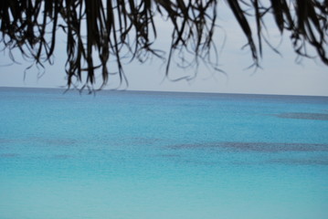 Oceano dall'ombrellone