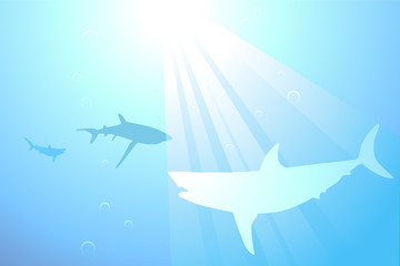 Sharks swimming in the ocean background