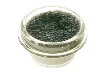 Beluga caviar isolated on white background