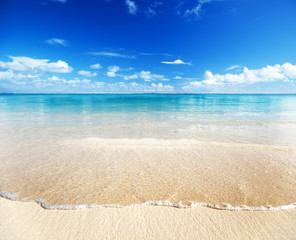 Fototapeta na wymiar sand of beach caribbean sea