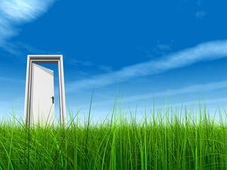 High resolution 3D white door opened in grass to a nice sky