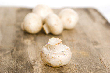 mushrooms on the table
