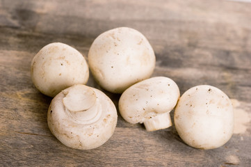 mushrooms on the table