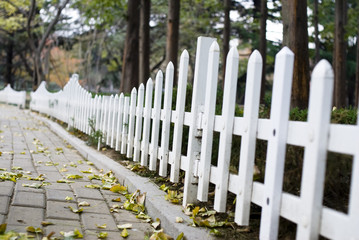 white fence of the garden in late autumn