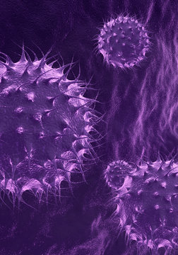 Flu viruses under miscroscope