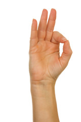 Naklejka premium Finger spelling, hand alphabets, letter F