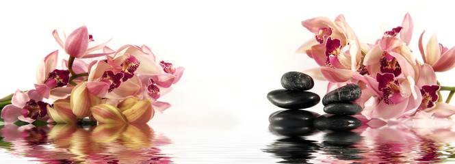 Orchid and pebbles with reflection in water,Zen atmosphere.