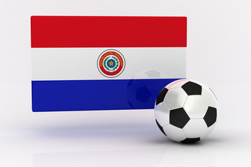 Paraguay Soccer