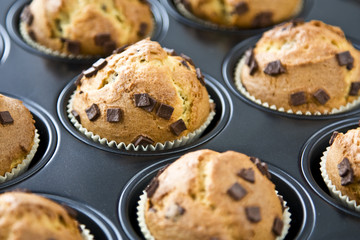 Muffins auf einem Backblech
