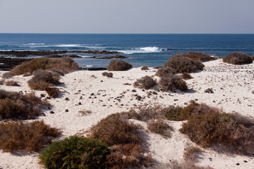 Sanddünen in El Cotillo,Fuerteventura