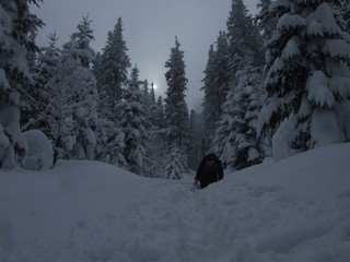 droga przez zaspę © GKor