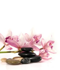 Fototapeta na wymiar Orchid i kamyczki, Zen atmosfera.