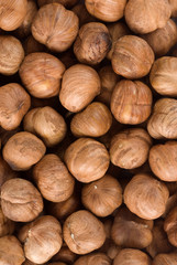 Group of hazelnuts closeup