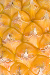 Fototapeta premium Background of Pineapple
