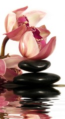 Obraz na płótnie Canvas Orchid i Kamyczki z odbicia w wodzie, atmosferze zen.