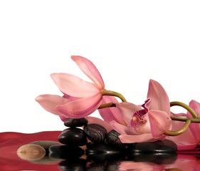 Orchid,pebbles and silk with reflection in water.