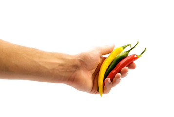 Chilischoten in der Hand