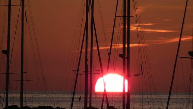 MASTILES DE EMARCACIONES AL AMANECER