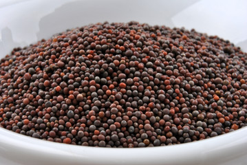 brown mustard seeds are tiny round seed