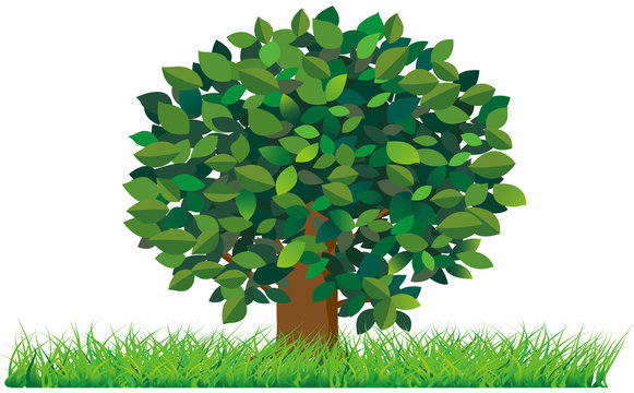 Tree&grass