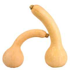 zucche gialle