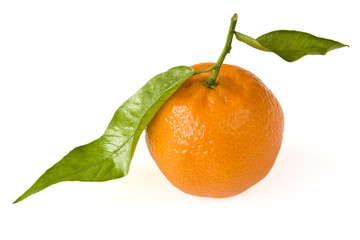 Mandarine mit Blatt isoliert auf weißem Hintergrund