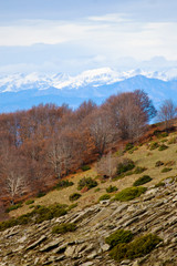 Fototapeta na wymiar Pyrenees view from the Matagalls mountain, Montseny