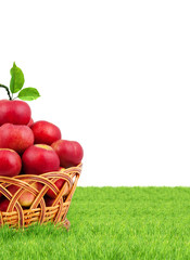 Basket of apples