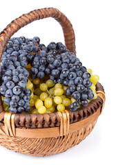 Appetizing grapes in a basket